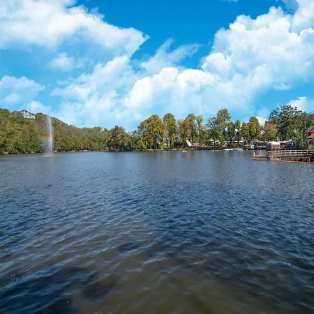 Aubepine In Sart Jalhay 別荘 Arbespine